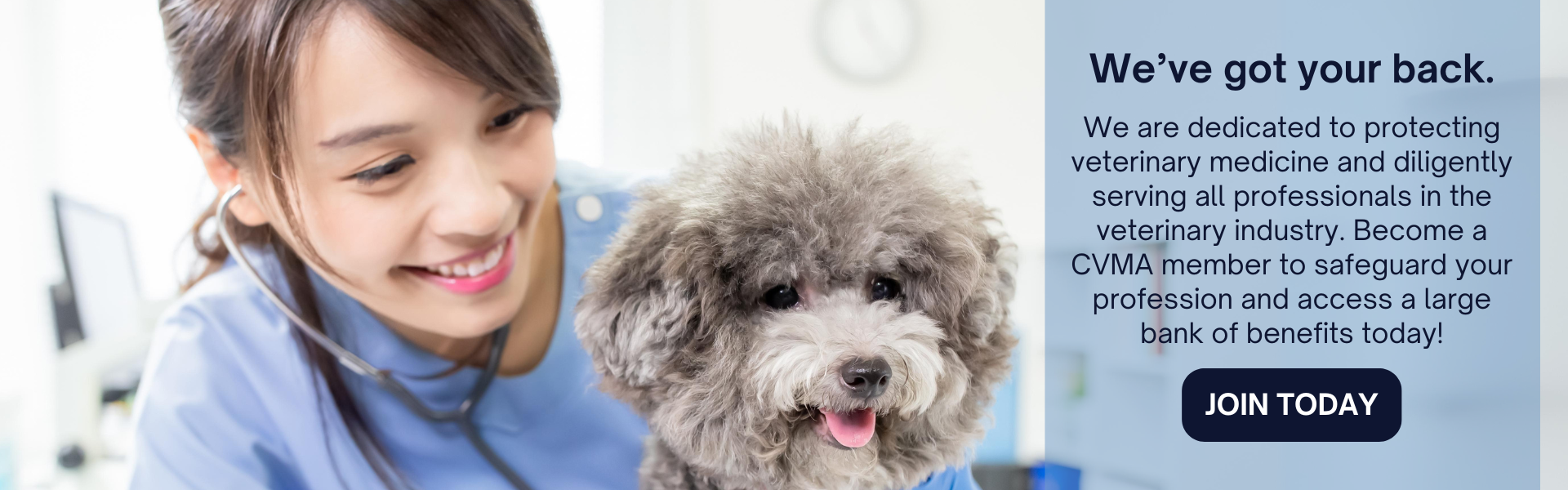 Join California Veterinary Medical Association Today